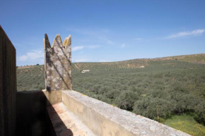 Отель Agriturismo Baglio Vecchio  Кастельветрано